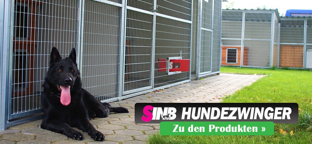 Hundezwinger