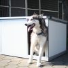 Thermo Renato Hundehütte "M" innengrösse (LxBxH:74x50x44cm) mit INFRAHEIZUNG