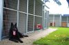 PIRATA Hundezwinger 2x2m grundfläche, ohne Holzboden