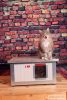 Thermo Renato Cat house with Window "CAT" insize