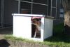 Thermo Renato Hundehütte "3XL" innengrösse (LxBxH:160x90x75cm)