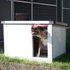 Thermovorhang für Hundehütte und Katzenhaus
