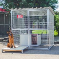GRID Hundezwinger