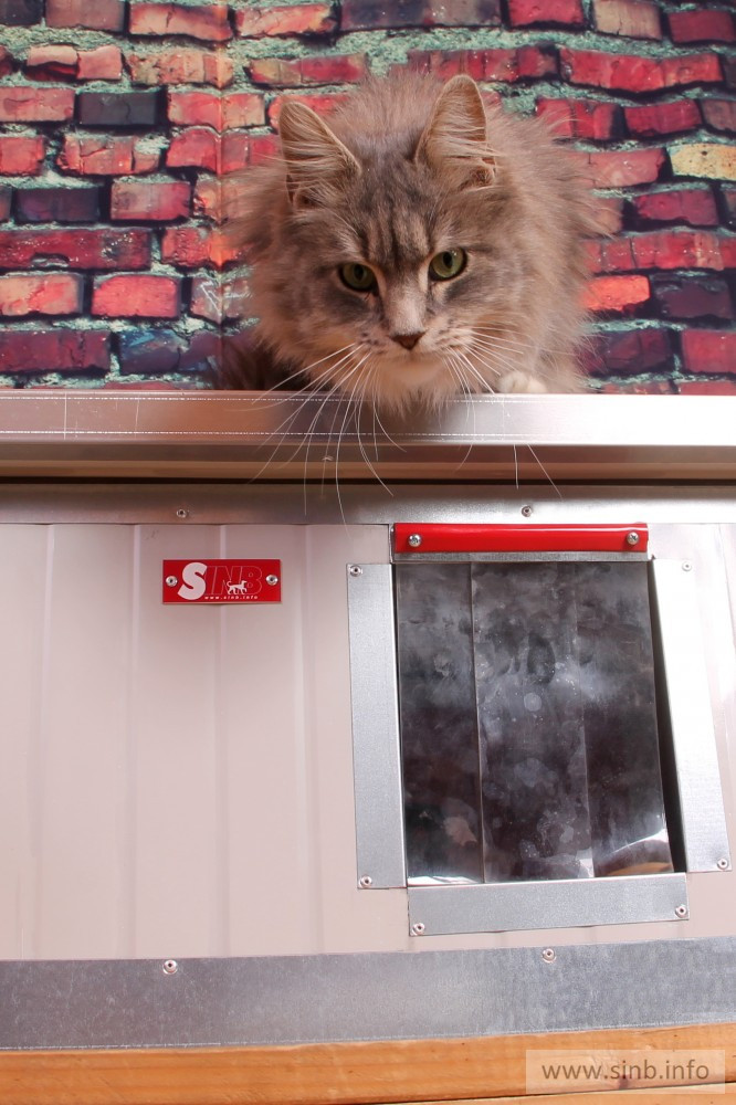 Was Sie über ein langlebiges Katzenhaus wissen müssen