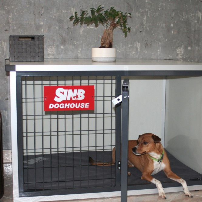  Eine Indoor-Hundehütte bietet den Hunden einen Rückzugsort innerhalb der Wohnung.