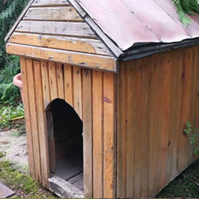 Fallstricke einer billigen Hundehütte!